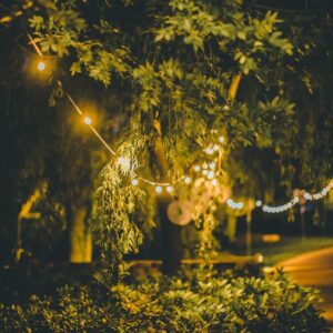 15m Prikkabel warm wit led (dimbaar)
